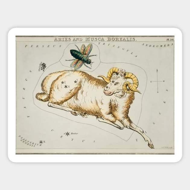 Aries Constellation Magnet by Big Term Designs